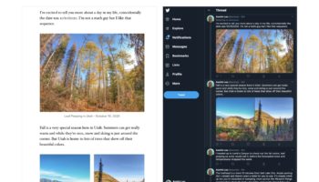 wordpress vous permet partager integralite votre article blog twitter