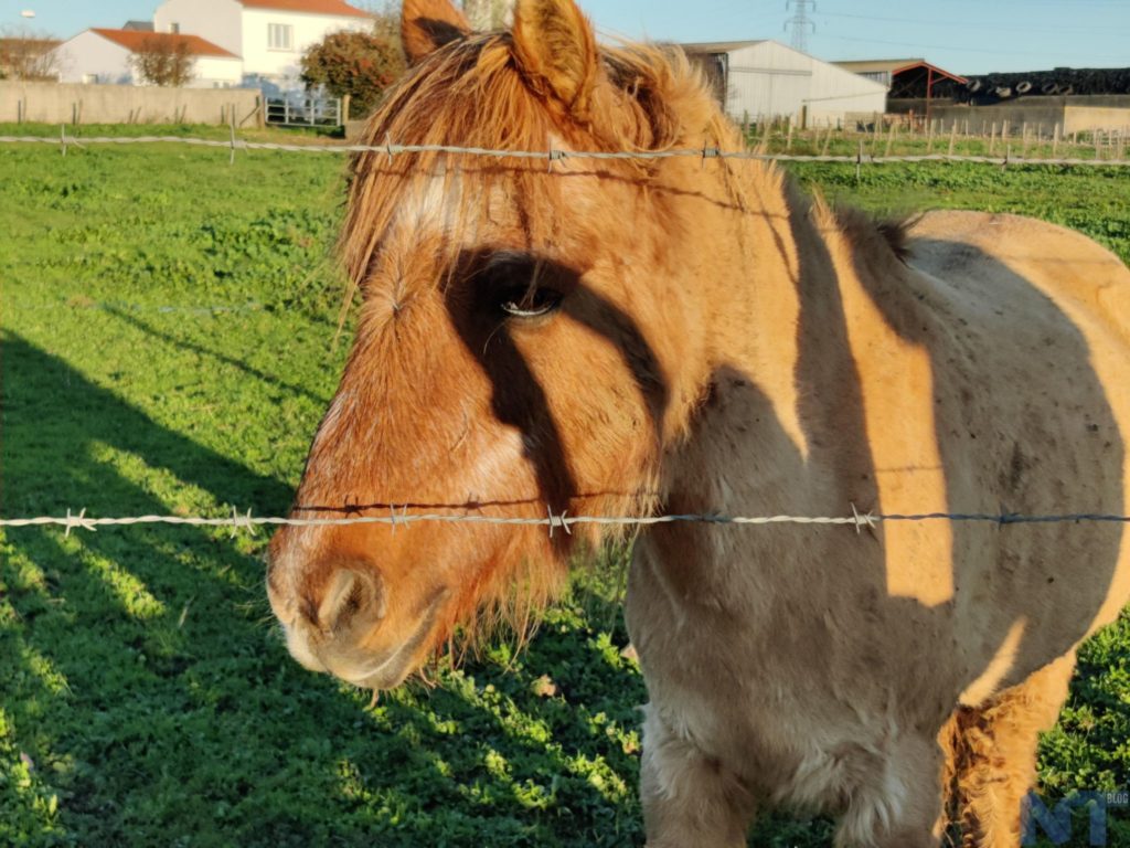 OnePlus 8T P 14
