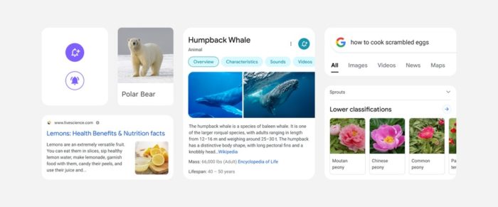Google Recherche sur mobile est sur le point d’être remanié