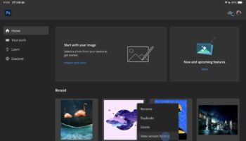 hlx 8b613ff118118e6befc73155f4e2