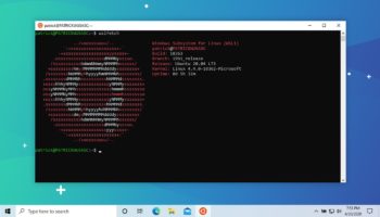 ubuntu 20.4 wsl