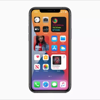 16588446