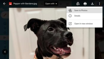 UseSaveToPhotosOptionPreviewingI