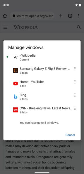 Google Chrome Up to 5 Windows