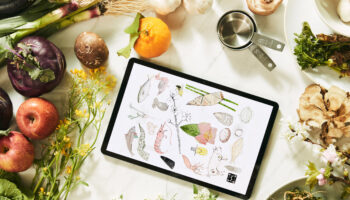 003 lidgerwood drawing with galaxy tabs7 plus