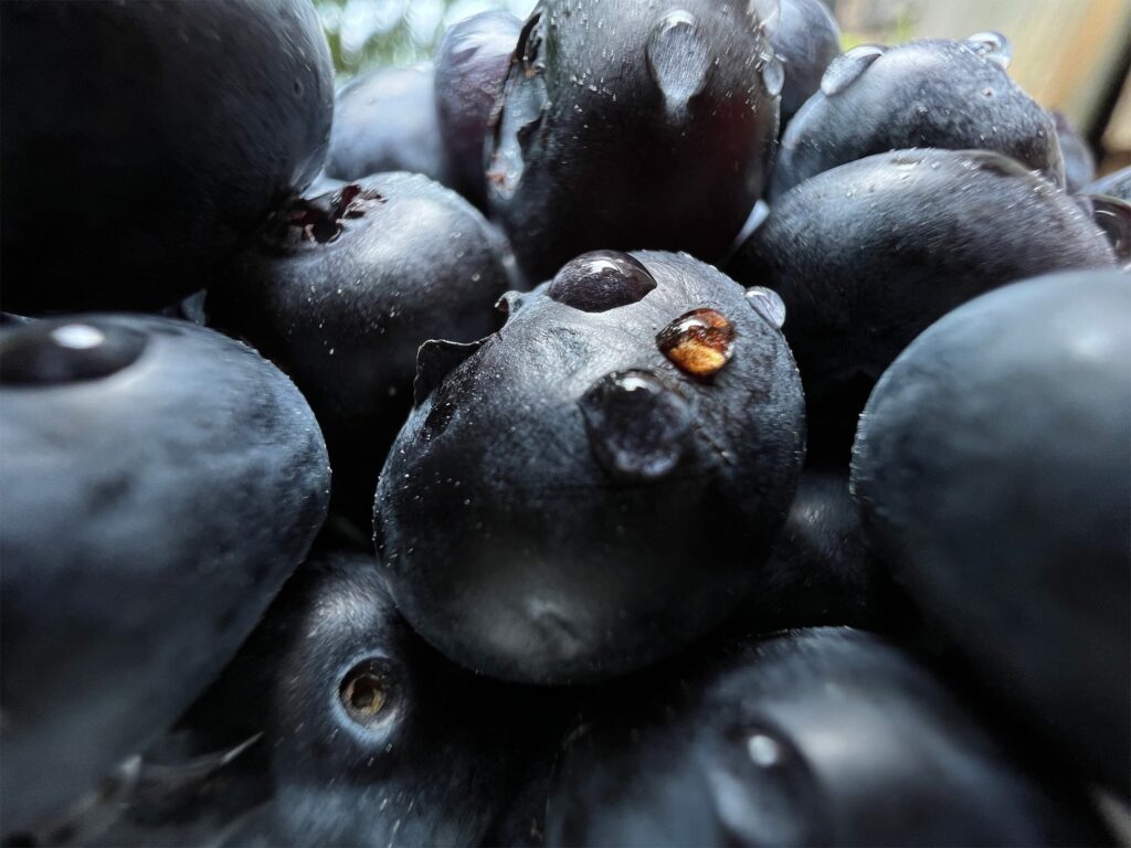 La caméra de l'iPhone 13 Pro détaillée : voici ce qu'il y a de nouveau 66 Apple iPhone 13 Pro Blueberries