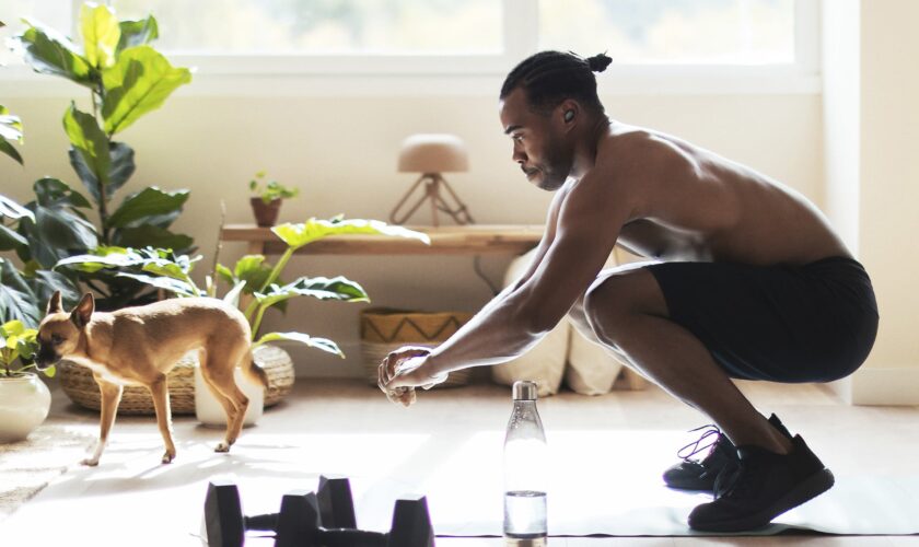 IFA 2021 : JBL dévoile de nouveaux casques et enceintes 69 black dog owner squatting at hom