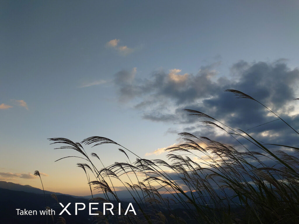Voici le Xperia PRO-I, un smartphone que Sony appelle « The Camera » 53 24mm dynamicrange2
