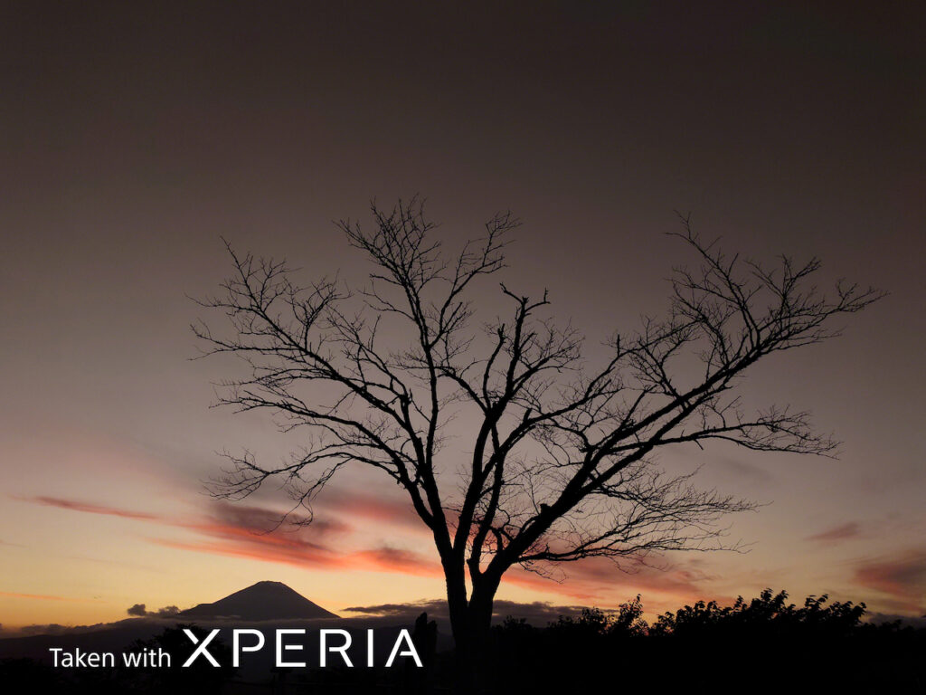 Voici le Xperia PRO-I, un smartphone que Sony appelle « The Camera » 52 24mm dynamicrange3