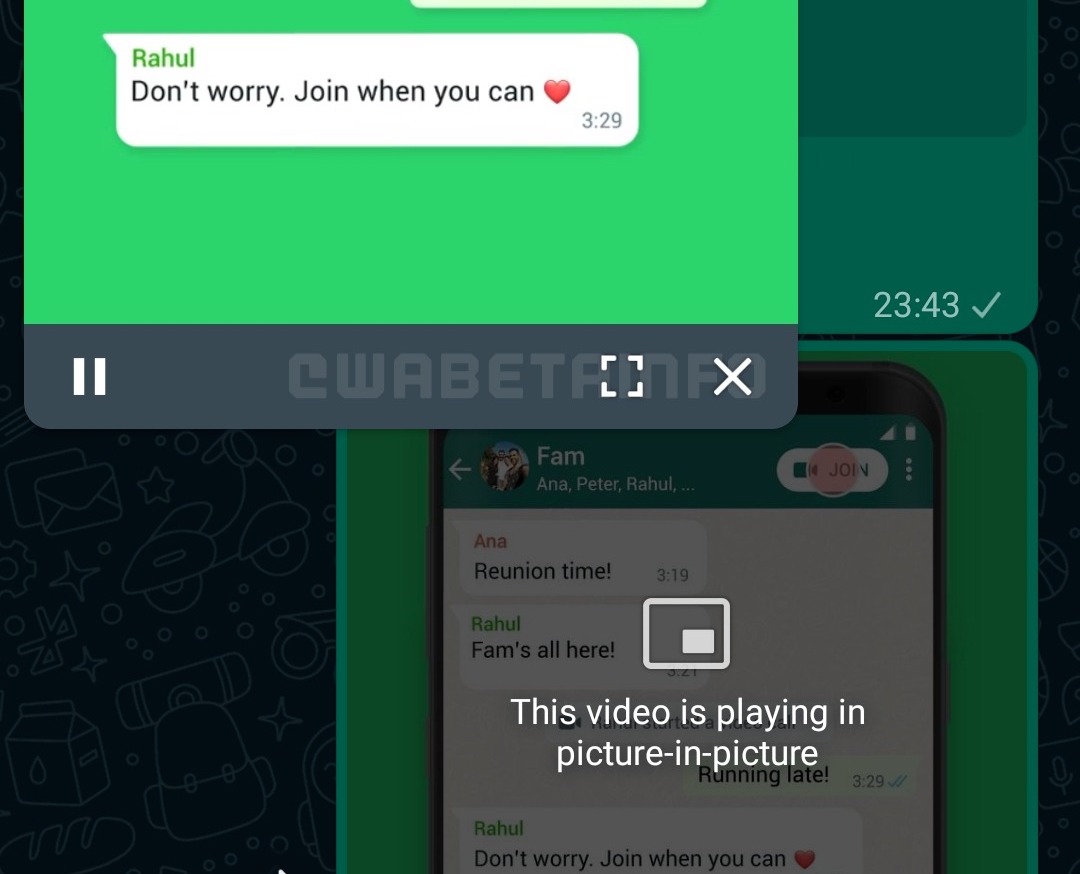WA PIP VIDEOS ANDROID copie