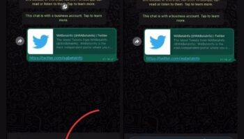 WhatsApp Will Soon Let You Pause