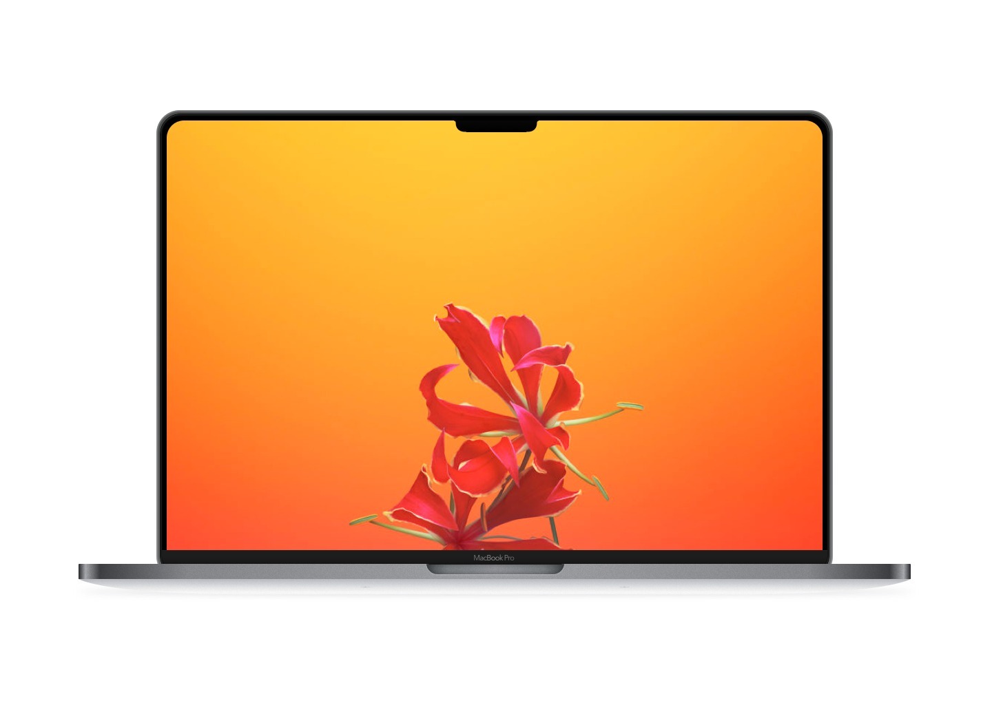 macbook pro notch