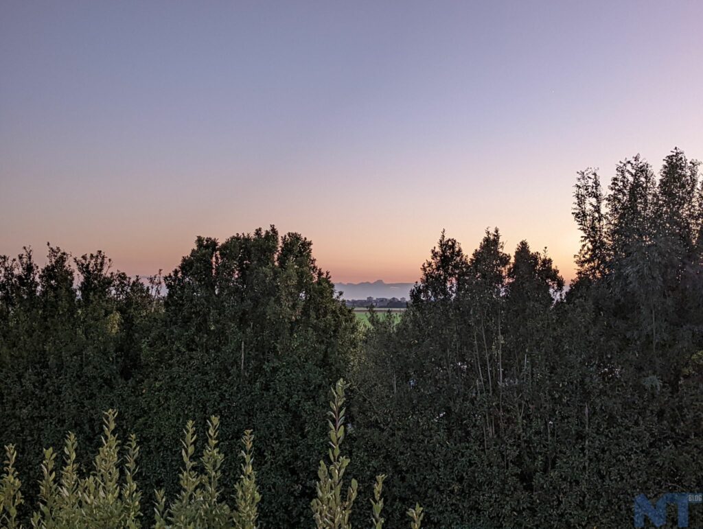 Pixel 6 P 16
