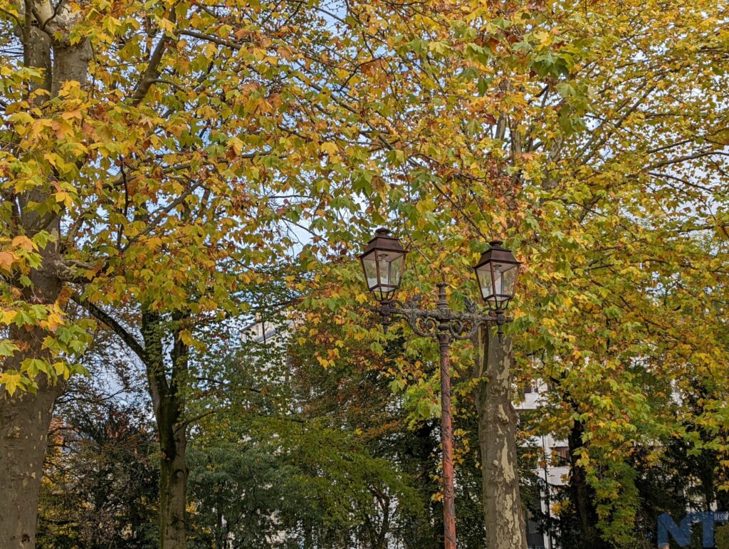 Pixel 6 P 23