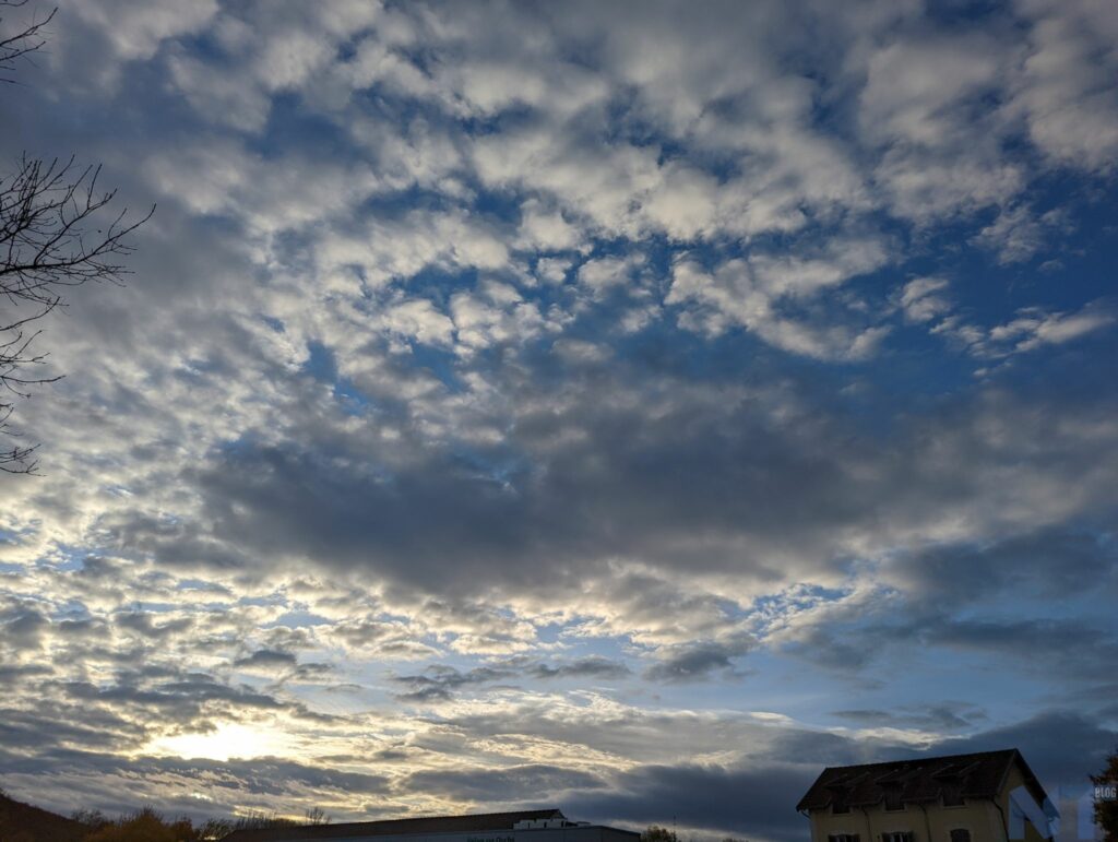 Pixel 6 P 25