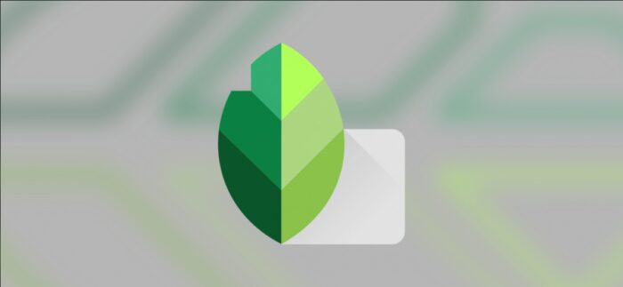Gomme magique sur n’importe quel smartphone : Snapseed et Google Photos en 2026
