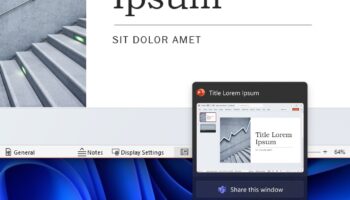 Share any window zoomZoom2X