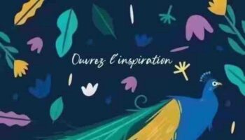 oppo peacock foldable smartphone