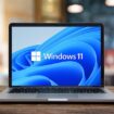 windows 11 mac