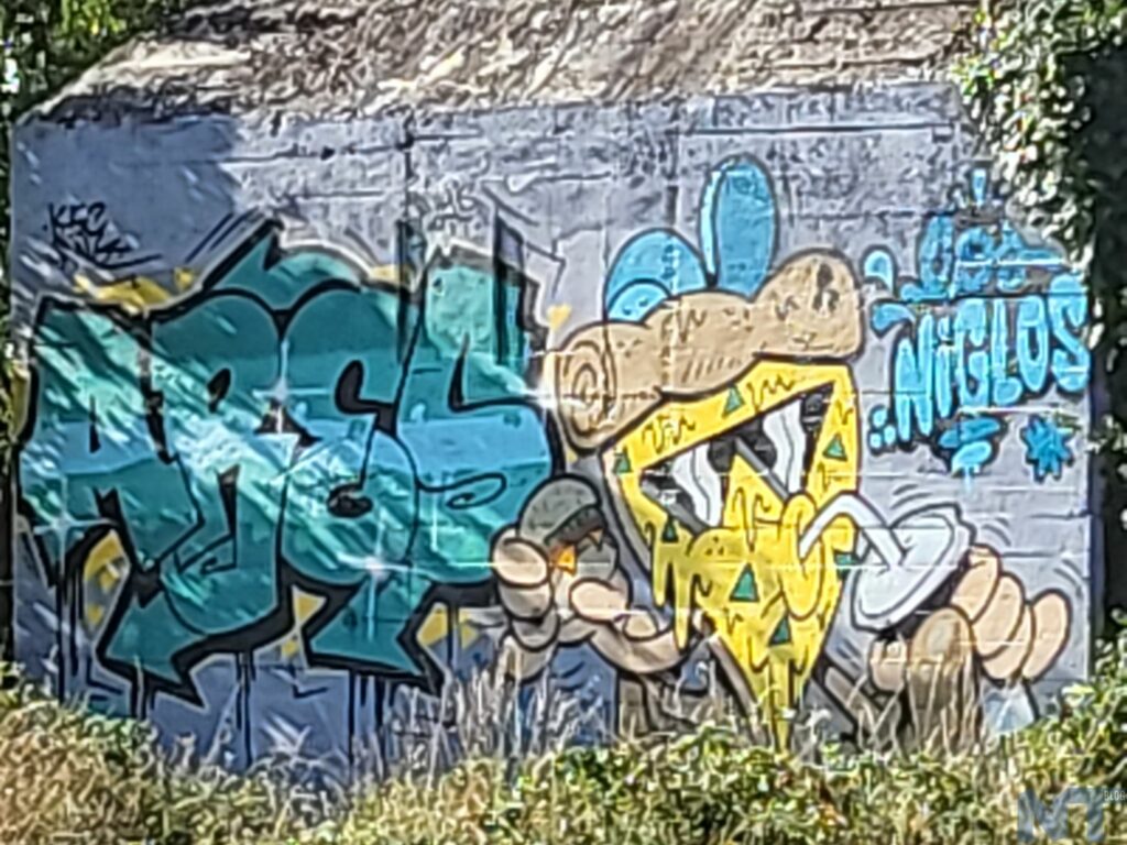 Galaxy Z Flip 3 P 15