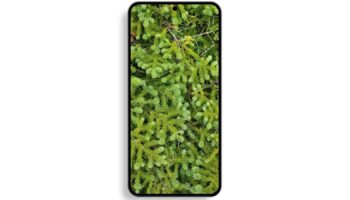 Hot new Samsung Galaxy S22 rende