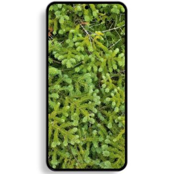 Hot new Samsung Galaxy S22 rende