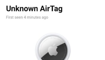 Screen Shot 2021 12 13 at 11.13