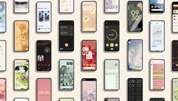 df164e2e4e 50176453 android12siz