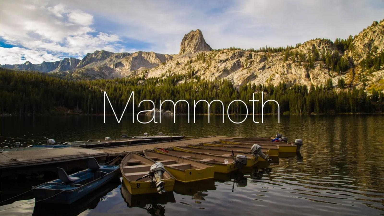 macOS 13 Mammoth