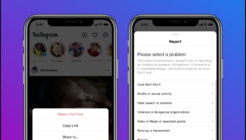 271608435 3367531086807484 20196