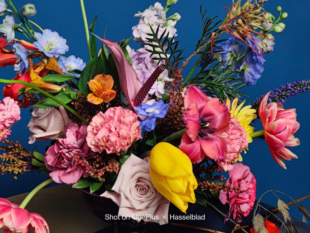 OnePlus 10 Pro : voici les nouvelles fonctionnalités de la caméra Hasselblad 57 Billion Color Calibration Flower