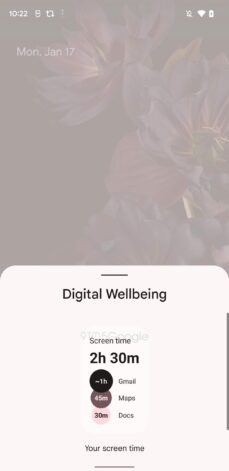 Digital Wellbeing widget a scaled