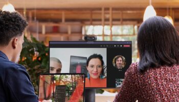 6 Chat RW 998x663 FR