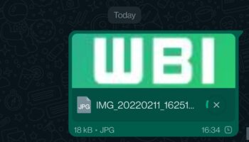 WA DOCUMENT IMAGE BUBBLE PREVIEW