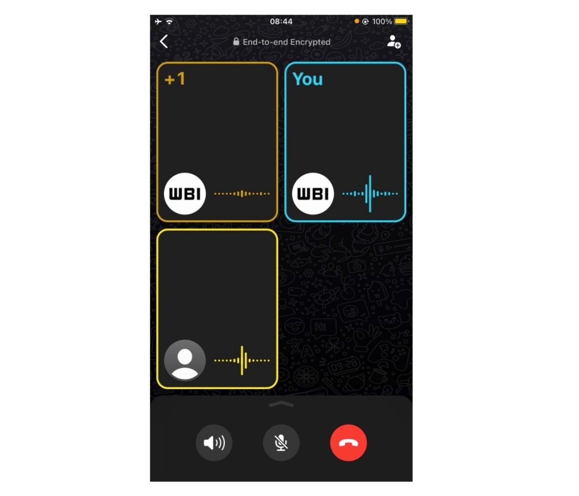 WA VOICE CALLS NEW UI IOS