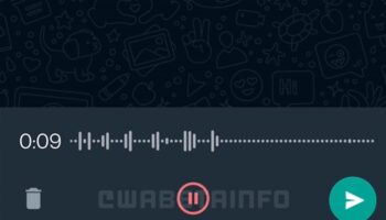 WA PAUSE RESUME ANDROID 1