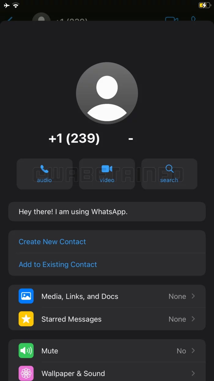 WA REDESIGNED CONTACT INFO IOS