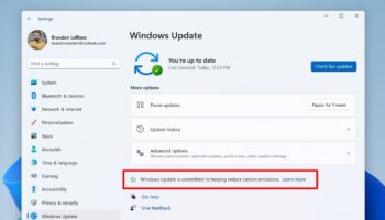 wu carbon 1024x748 1