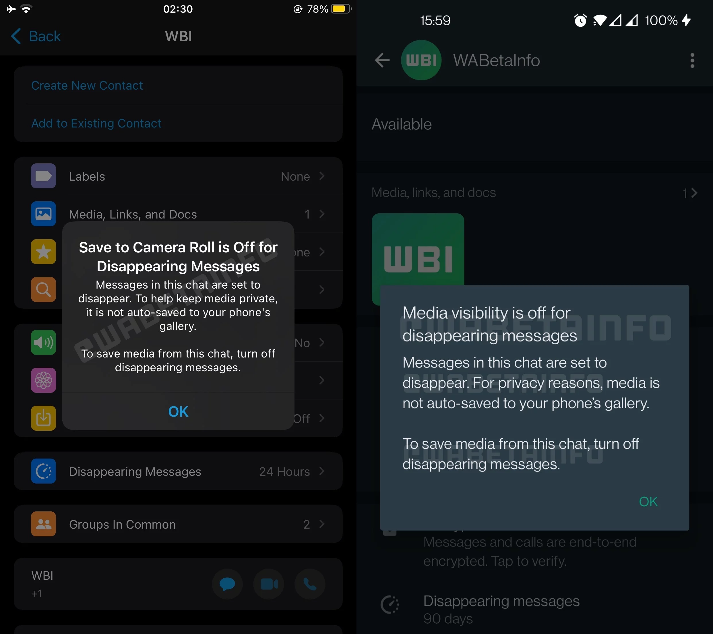 WA MEDIA VISIBILITY SAVE TO CAME