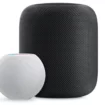 48538 94747 38131 91917 HomePods