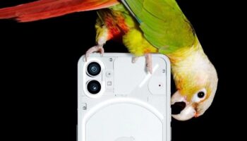 Nothing finally gives us a full body image of the Nothing Phone 1