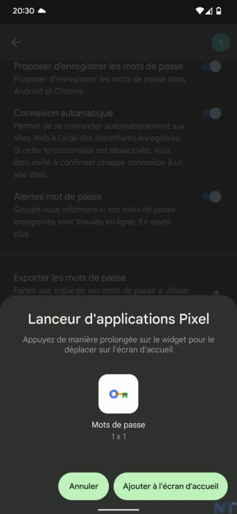 Comment utiliser le gestionnaire de mots de passe Google sur l'écran d'accueil de votre smartphone ? 65 Screenshot 20220621 203050 resultat