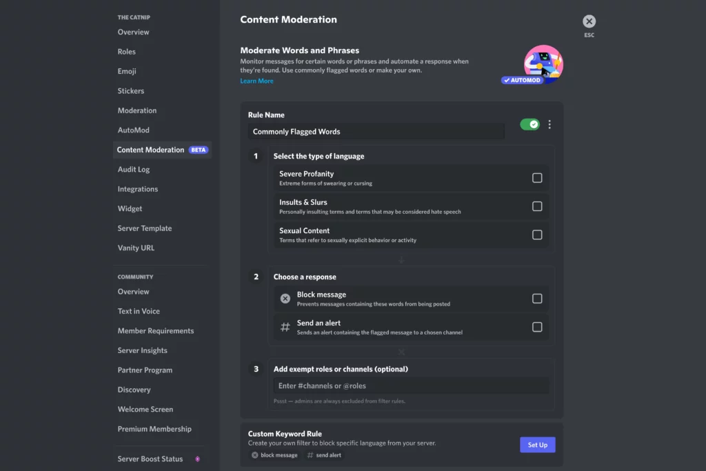Discord se dote d'un outil de modération autonome pour lutter contre le spam et les injures 53 common setup 2