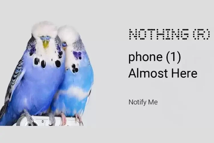 nothing phone 1 look