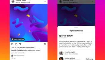 01 Introducing Digital Collectib