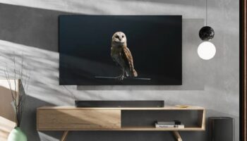 SE Soundbar Plus Totale Landscap