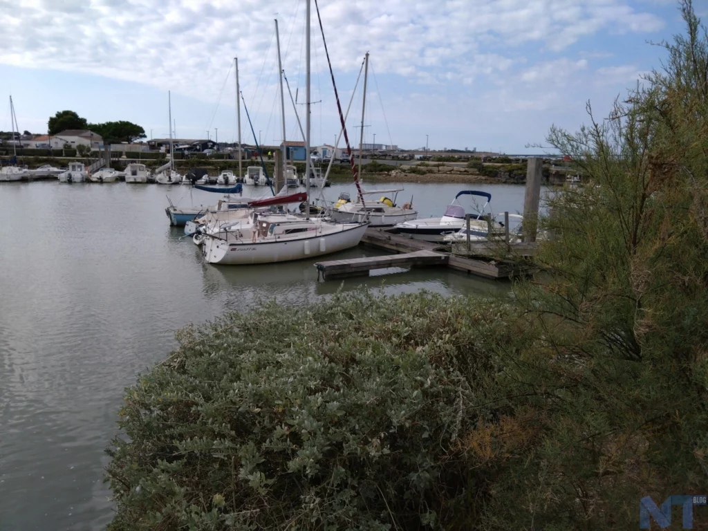 Test du Xperia 10 IV : le roi de l'autonomie ! 46 Xperia 10 IV P 17 1024x768 jpg