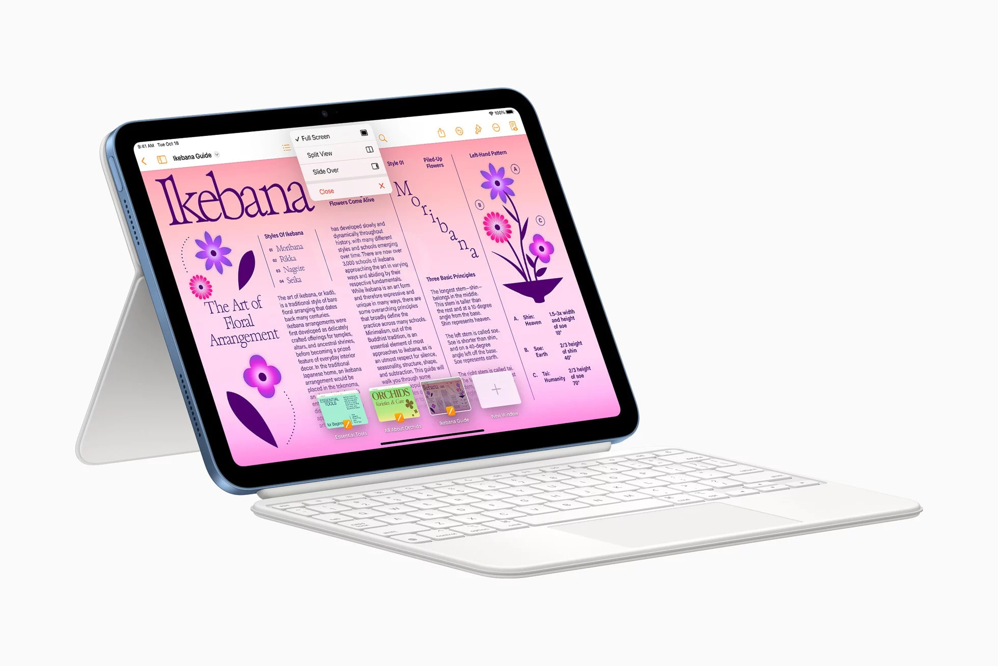 Apple iPad 10th gen Magic Keyboa