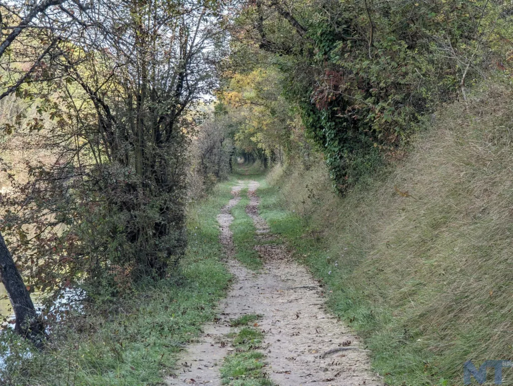 Test du Google Pixel 7 Pro : un véritable fleuron Android ! 35 Pixel 7 Pro Photos 34