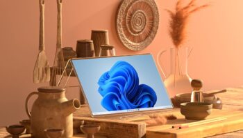 Theme 2 Attract Environment Mast